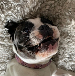 Meet your Posher, Evan